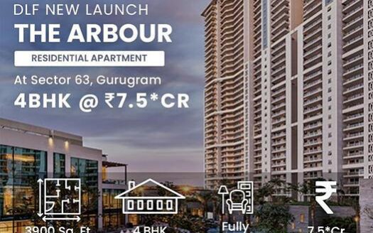 DLF The Arbour in Sec 63